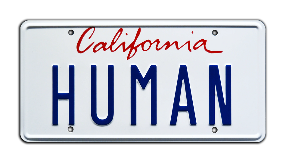 Daft Punk's Electroma HUMAN License Plate