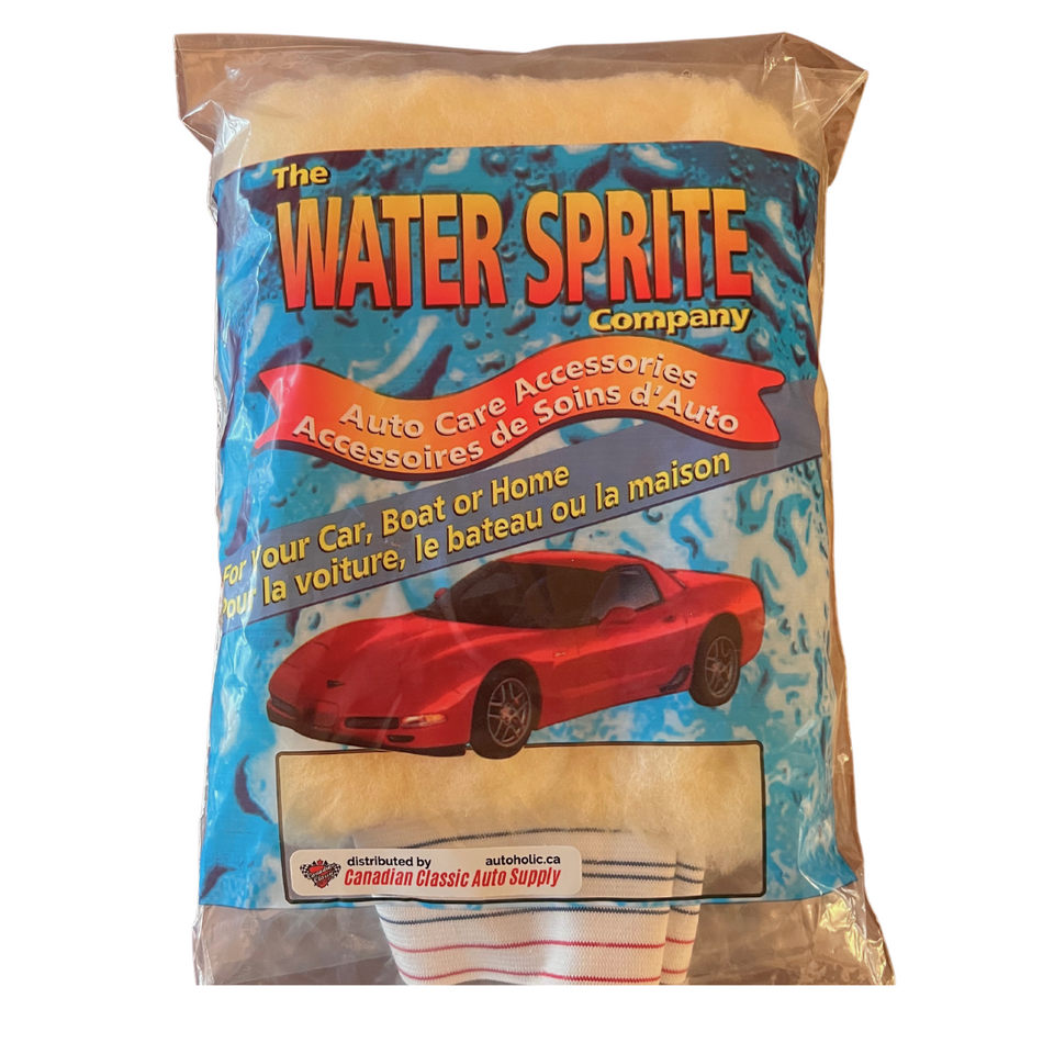 Water Sprite Car Wash Mitt